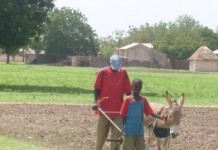 Le projet de l’OSIRIS vise la protection des populations rurales, selon son chef