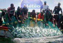 LA MAITRISE DE L’INFORMATION MÉTÉO PRÉCONISÉE POUR UNE RÉSILIENCE DES PÊCHEURS AUX CHANGEMENTS CLIMATIQUES