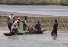 ILES DU SALOUM : UN MAIRE PLAIDE POUR UNE FOURNITURE CONTINUE DE L’ÉLECTRICITÉ