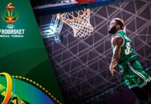 Top 5 Plays – Day 2 – FIBA AfroBasket 2017