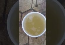 Pénurie d’eau à Foundiougne