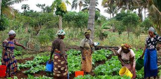 Agro-écologie et Justice climatique pour un développement durable