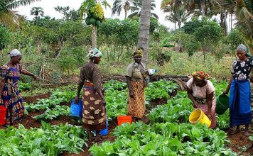 Agro-écologie et Justice climatique pour un développement durable