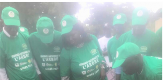 Journée Nationale de l’Arbre 2024